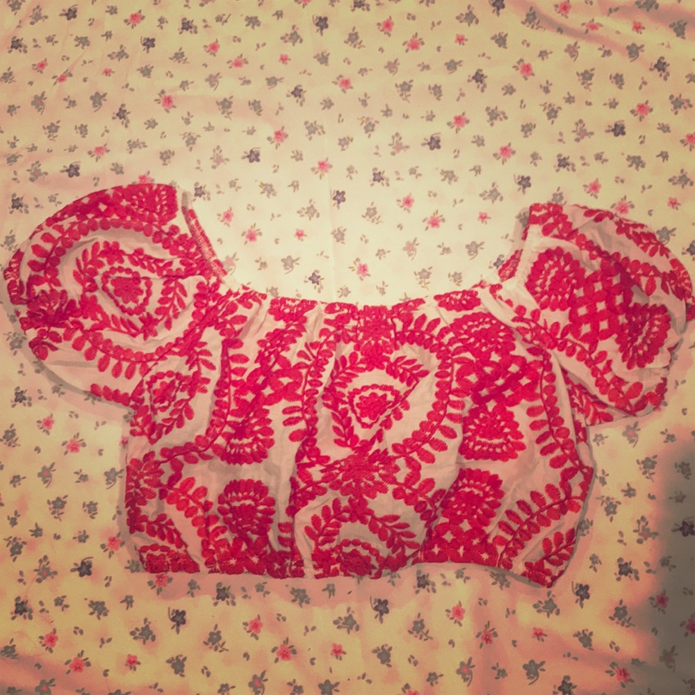 Oeuvre Red Designed Crop Top